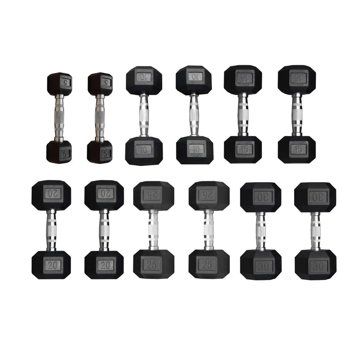 Legion Rubber Hex Dumbbell Set (5–30lb)