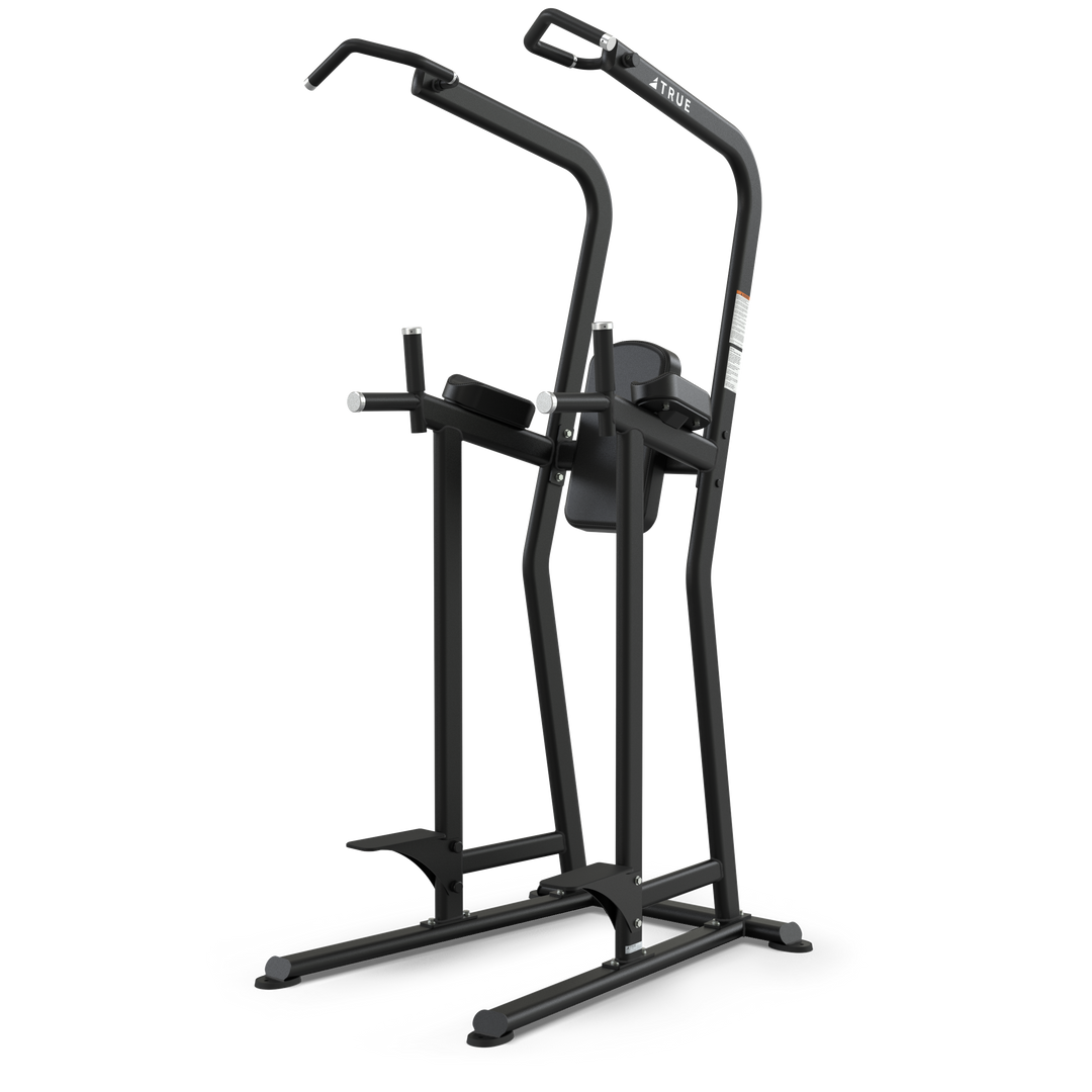 TRUE FS-23 Knee Raise/Dip/Chin Station