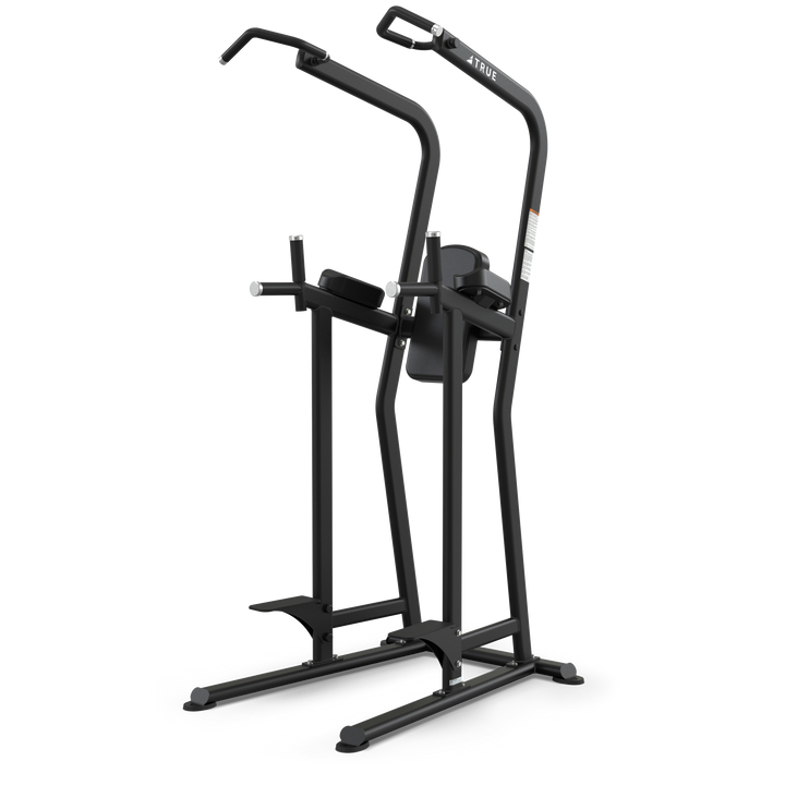 TRUE FS-23 Knee Raise/Dip/Chin Station