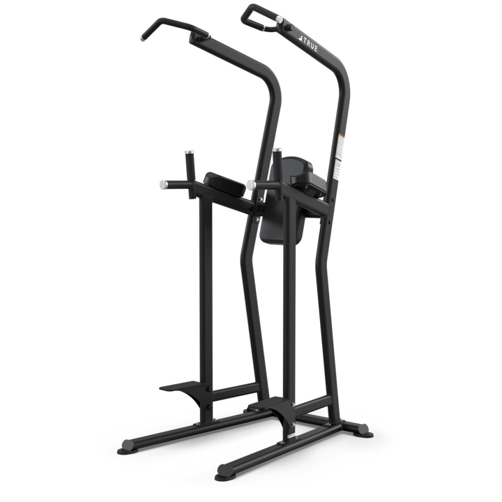 TRUE FS-23 Knee Raise/Dip/Chin Station