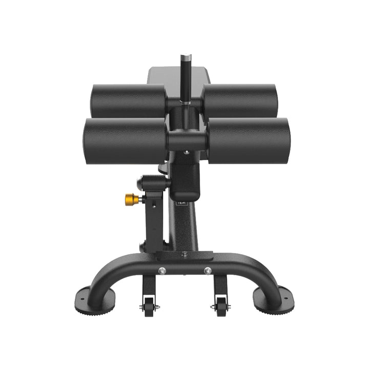 PRO AAB Adjustable Ab Bench