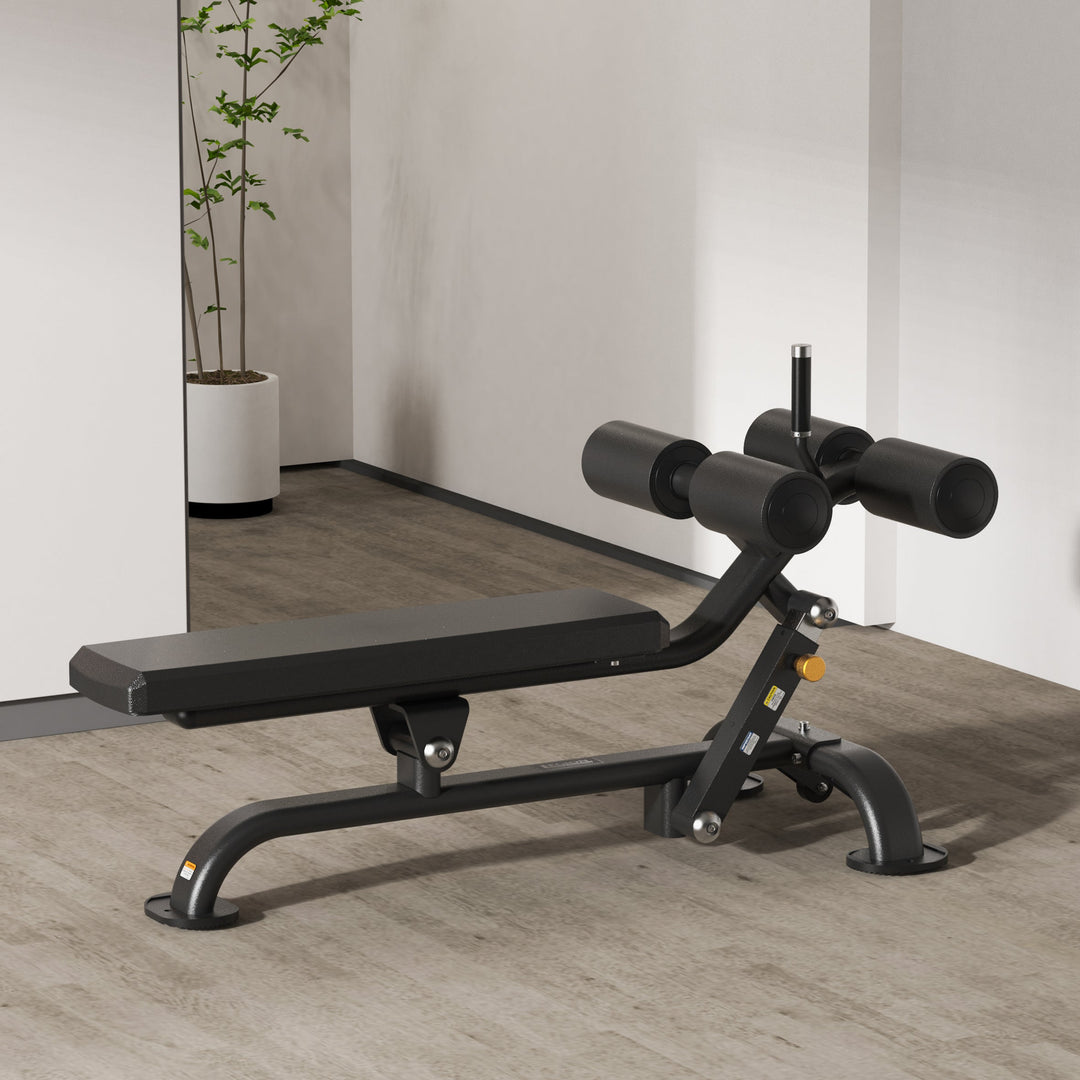 PRO AAB Adjustable Ab Bench