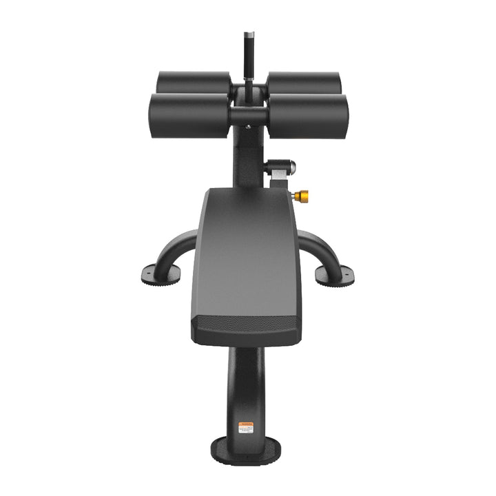 PRO AAB Adjustable Ab Bench