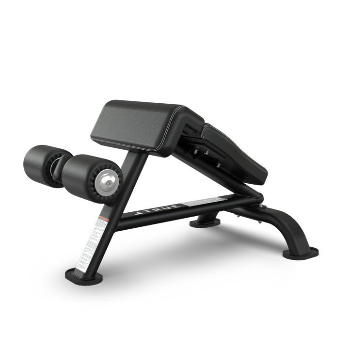 TRUE SF-1010 Ab Bench