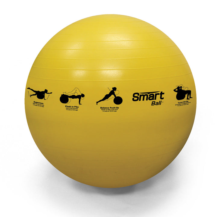 Smart Stability Ball Rack – Wall Mounted Commercial Package