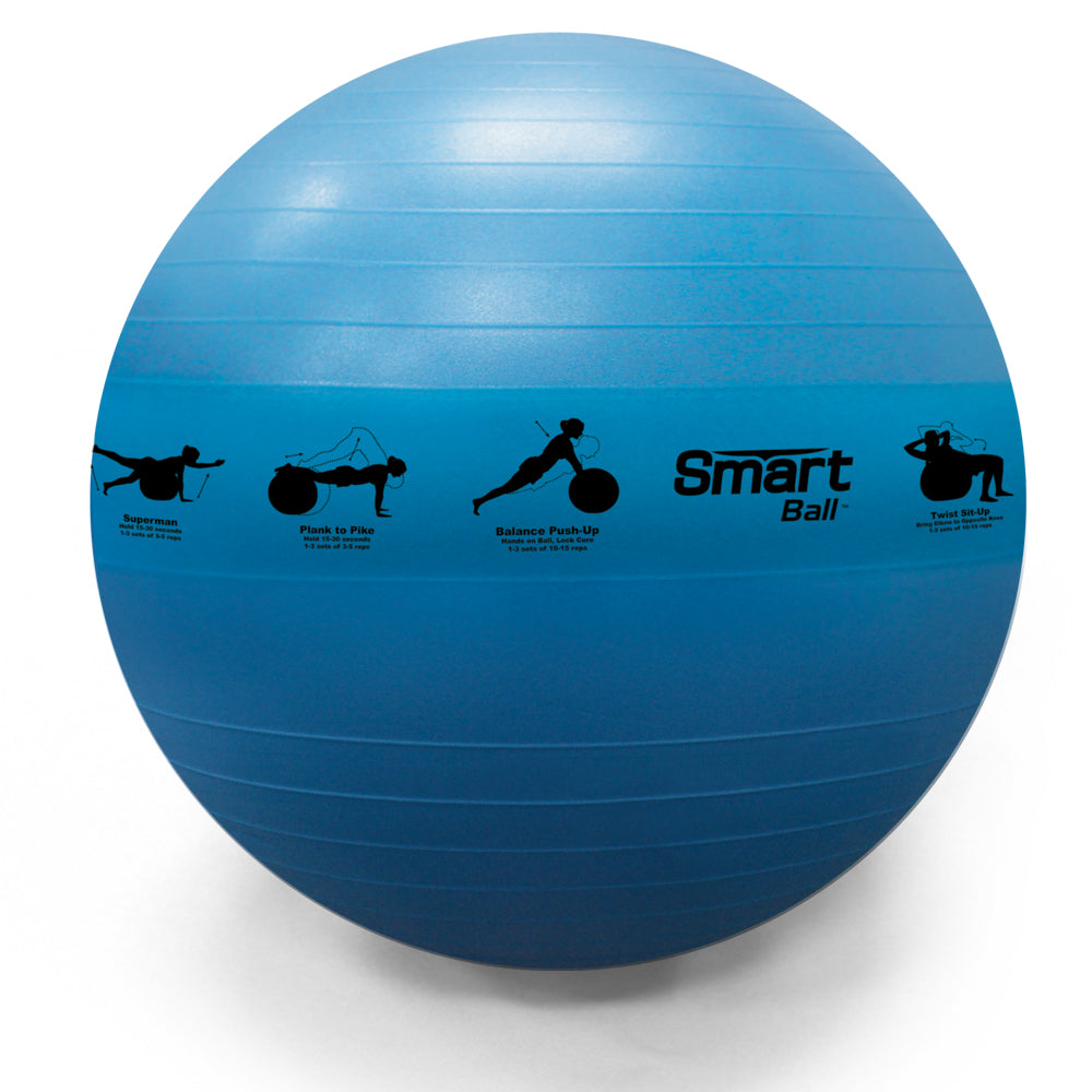 Smart Stability Ball Rack – Wall Mounted Commercial Package