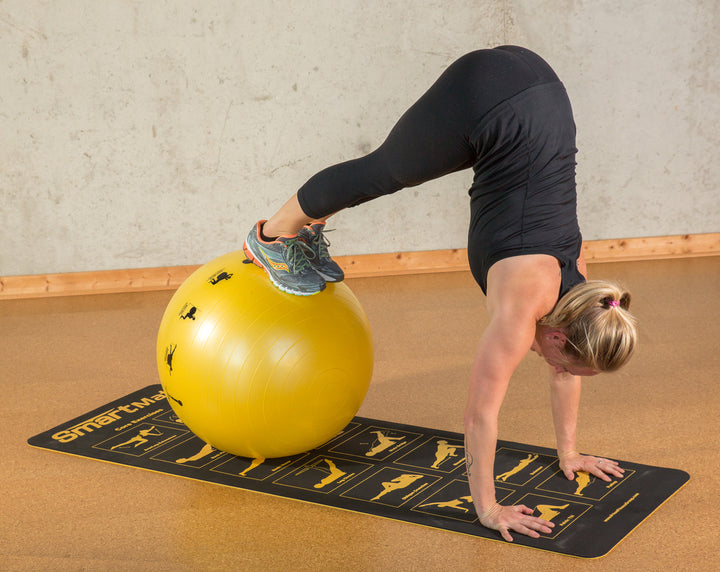 Prism Smart Stability Balls