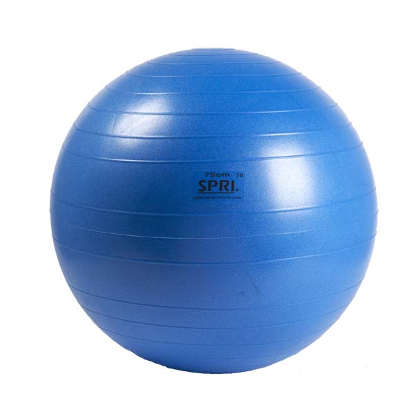 Stability Balls - Available at Commercial Fitness Superstore