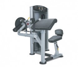 True SD1001 Force Bicep / Tricep at Fitness 4 Home Superstore - Visit our stores in Scottsdale, Phoenix, or Chandler, Arizona.