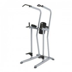 Paramount FS-23 Knee Raise / Dip / Chin Station