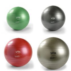 SPRI Xercise Ball – Professional Plus