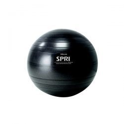 SPRI Professional Plus Xercise Ball