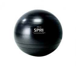 SPRI Professional Plus Xercise Ball