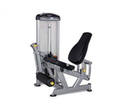 TRUE FUSE-0100 Leg Extension / Leg Curl