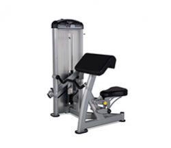 TRUE FUSE-0600 Biceps Curl
