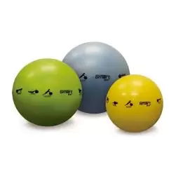 Prism Fitness Group – Smart Stability Balls