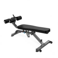 TRUE XFW-5300 Abdominal-Decline Bench