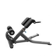TRUE XFW-5600 Roman Bench