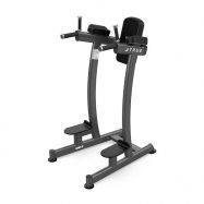 TRUE XFW-6400 Vertical Knee Raise Dip