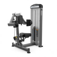 TRUE FUSE-0800 Deltoid Raise