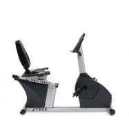 True PS100 Commercial Recumbent Bike