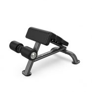 True SF1010 Force Ab Bench - Force Strength Series