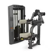 TRUE SPL-0800 Deltoid Raise | Palladium Strength Series