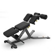 TRUE FS-22 Low Back Abdominal Bench
