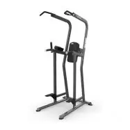 TRUE FS-23 Knee Raise - Dip - Chin Station