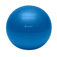 Gaiam Total Body Balance Ball Kit