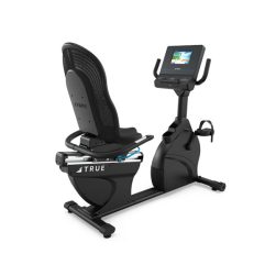 TRUE Performance Recumbent Bike